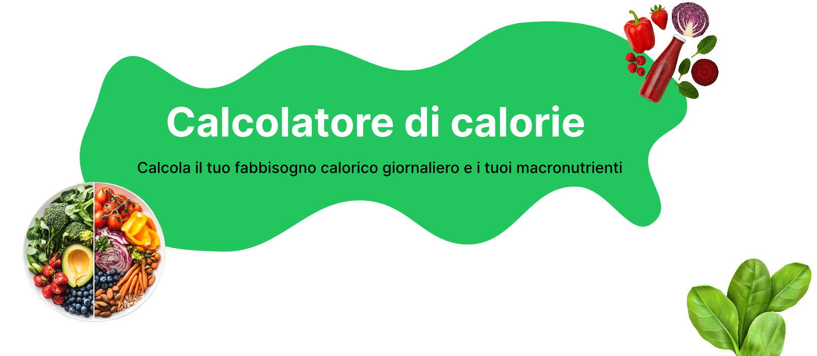 Calorie Calculator Header